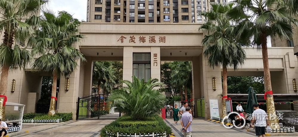 小區物業遠程預付費抄表系統案例——金茂梅溪湖