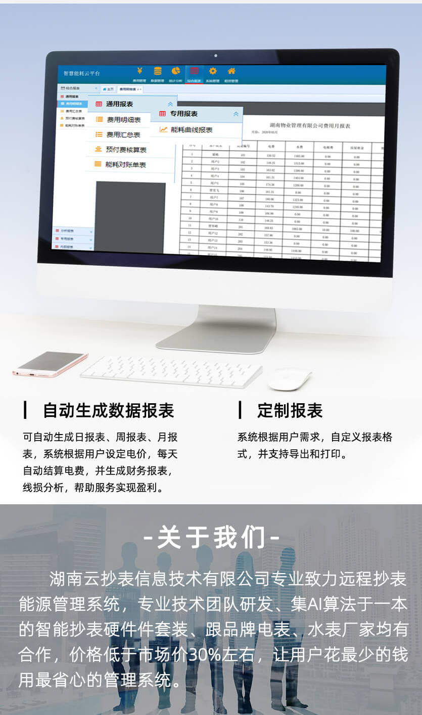 煙臺威思頓DDZY178-Z載波單相預付費電能表